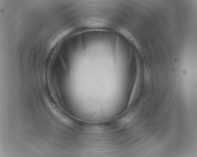 X0000060740533200511241640