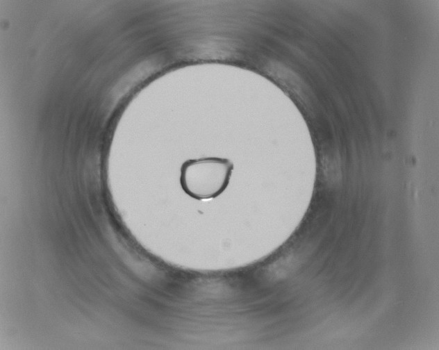 X0000060740534200511241640