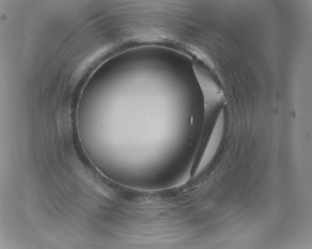 X0000060740535200511241640