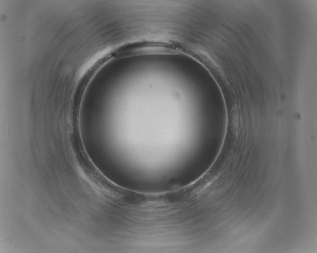 X0000060740536200511241640