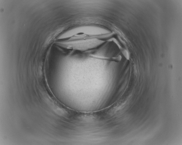 X0000060740537200511241640