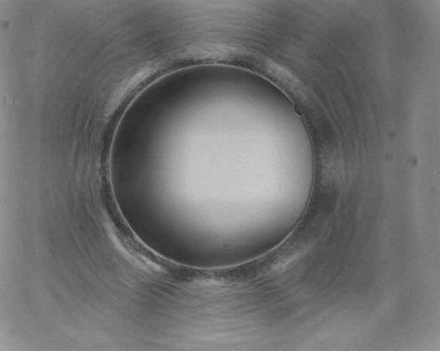 X0000060740538200511241640