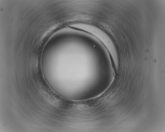 X0000060740539200511241640