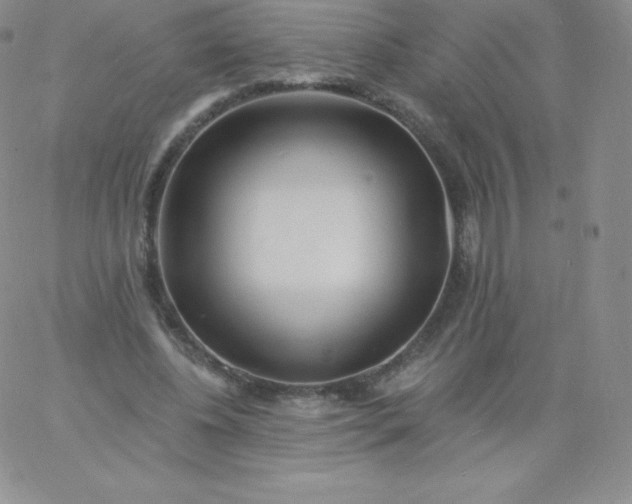 X0000060740540200511241640