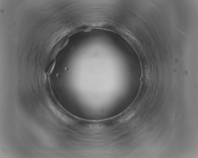 X0000060740541200511241640