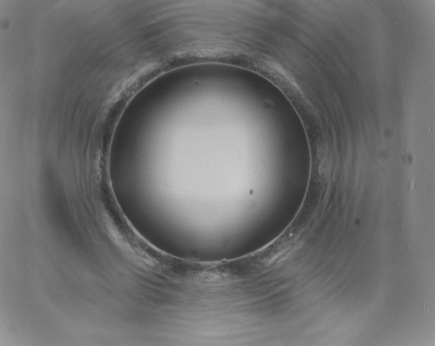 X0000060740542200511241640