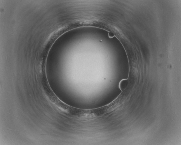 X0000060740543200511241640