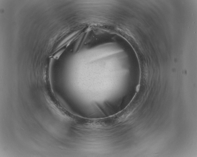 X0000060740545200511241640