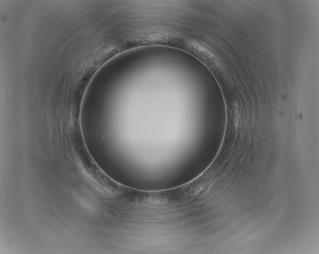 X0000060740546200511241640