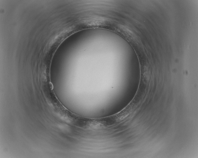 X0000060740547200511241640