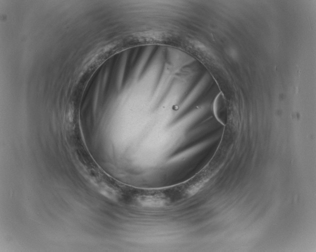 X0000060740548200511241641