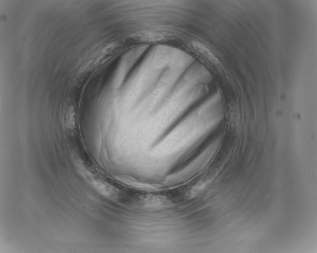 X0000060740549200511241641