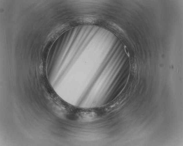 X0000060740552200511241641