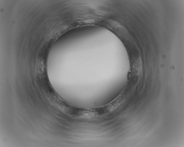 X0000060740555200511241641