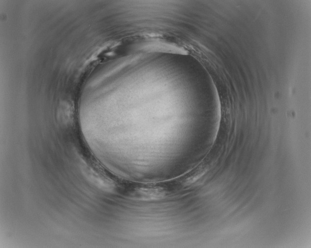 X0000060740556200511241641