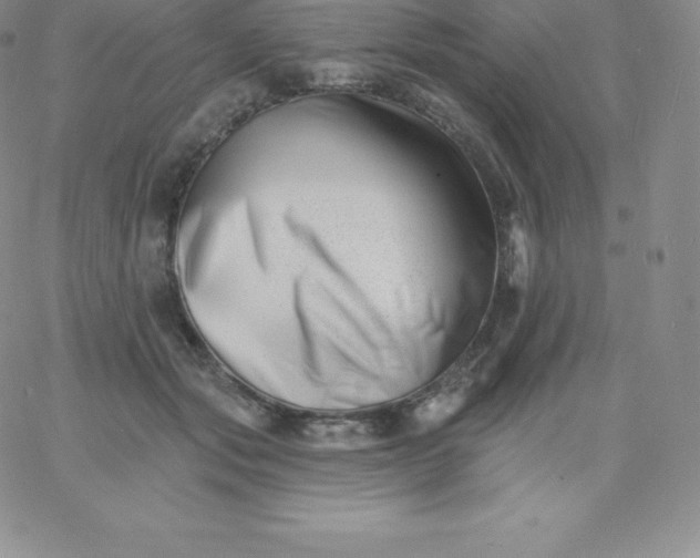 X0000060740557200511241641