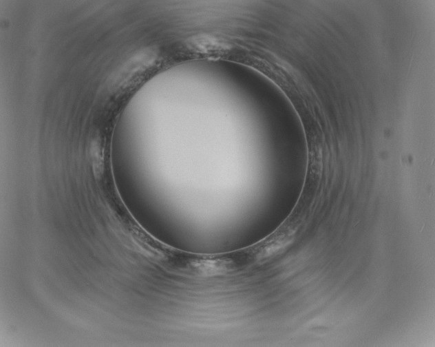 X0000060740558200511241641