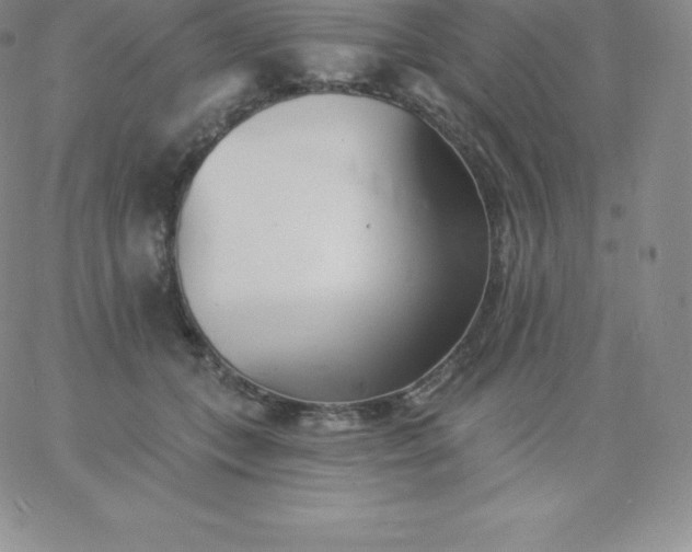 X0000060740559200511241641