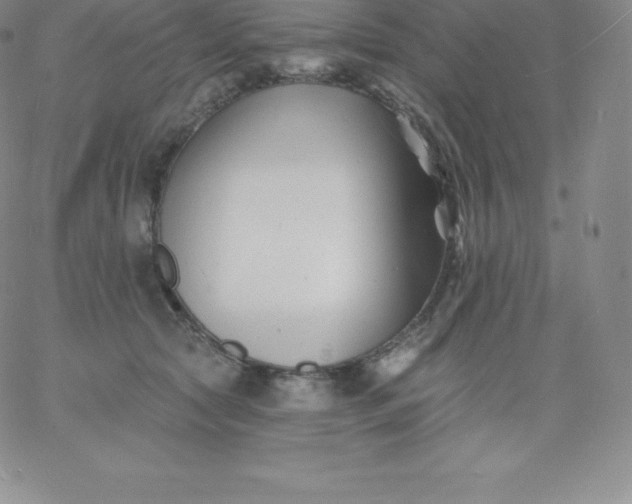 X0000060740561200511241641