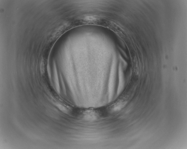 X0000060740562200511241641