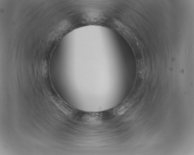 X0000060740563200511241641