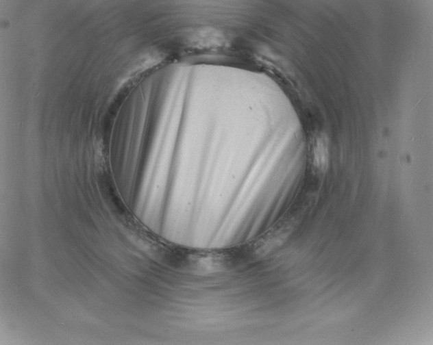 X0000060740564200511241641