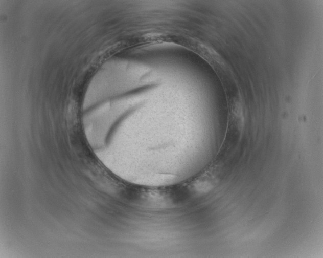 X0000060740565200511241641