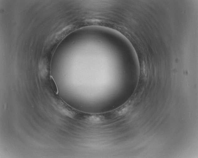 X0000060740566200511241641