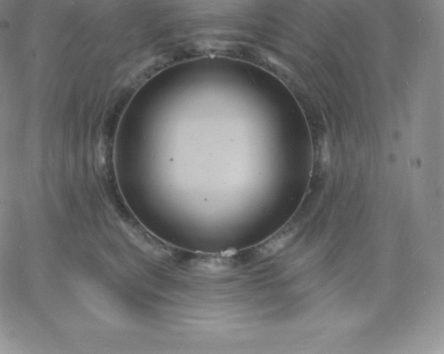 X0000060740567200511241641