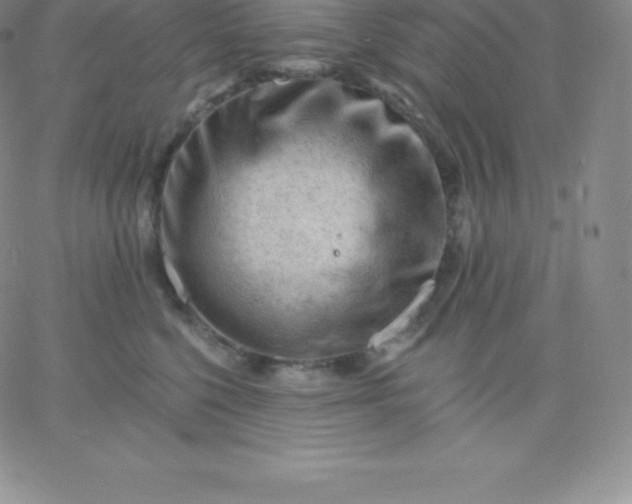 X0000060740568200511241641