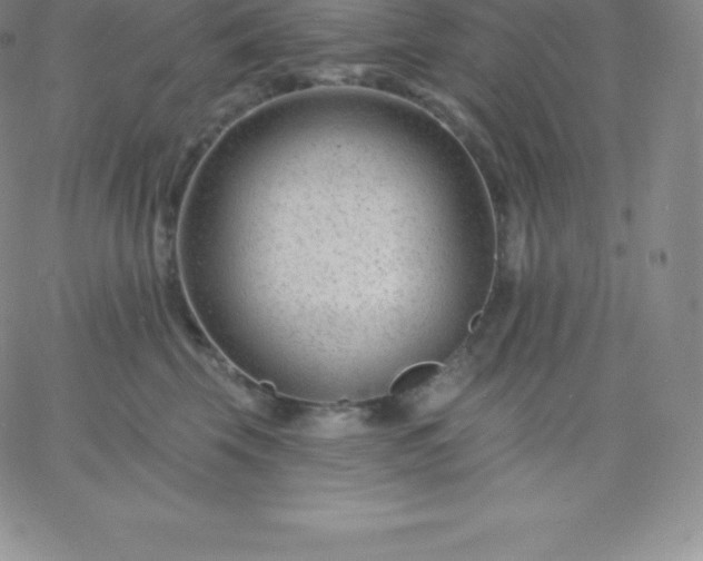 X0000060740569200511241641