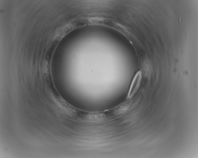 X0000060740571200511241641