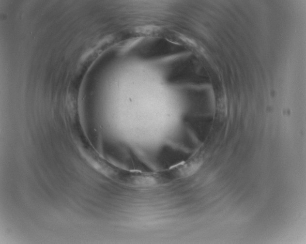 X0000060740572200511241641