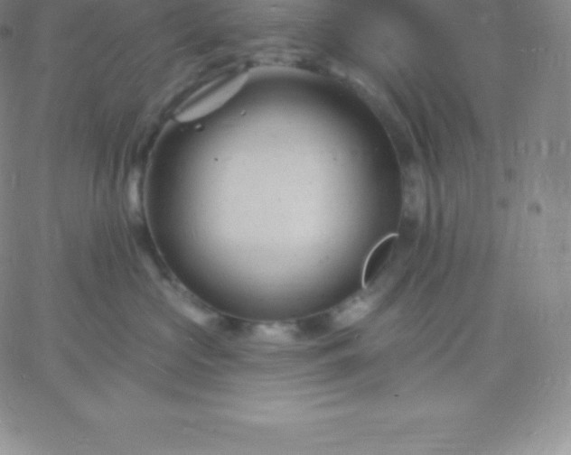 X0000060740573200511241641