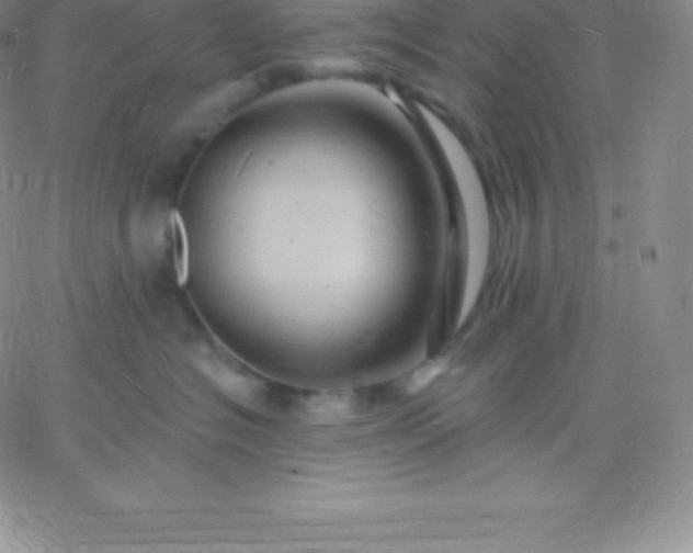 X0000060740574200511241641