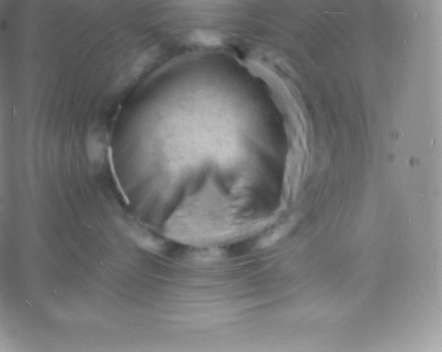 X0000060740576200511241641