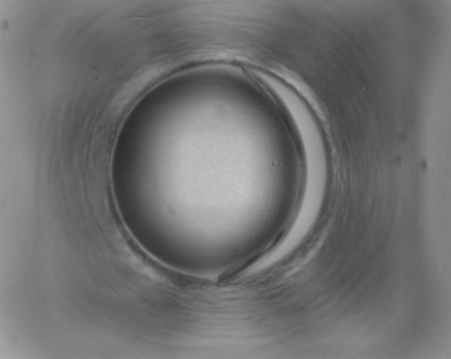 X0000060740577200511241640