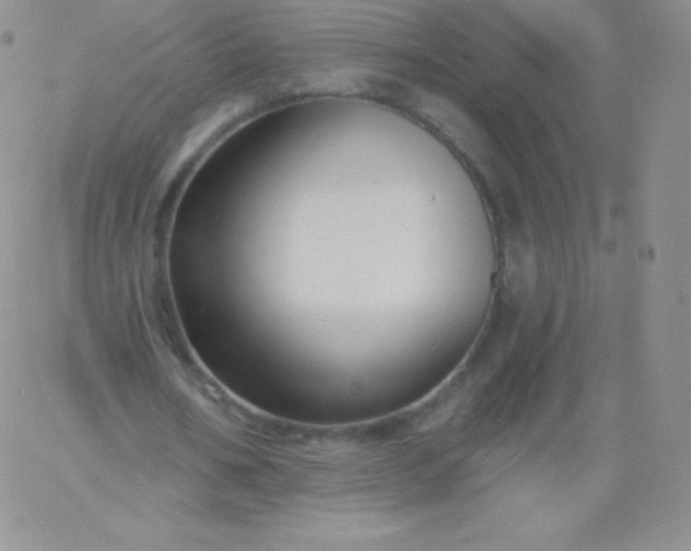 X0000060740578200511241640