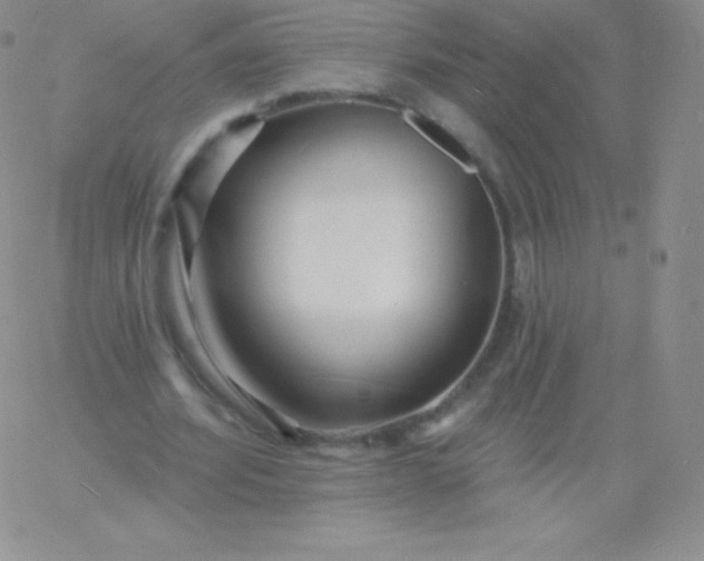 X0000060740580200511241640