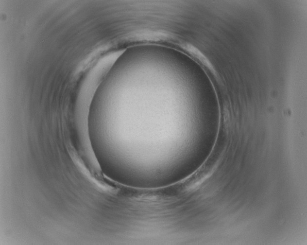 X0000060740581200511241640