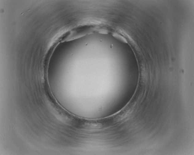 X0000060740582200511241640