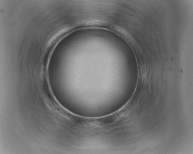 X0000060740583200511241640