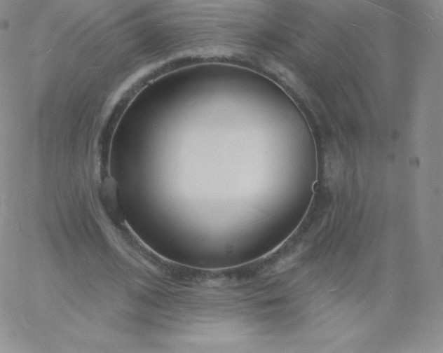 X0000060740584200511241640