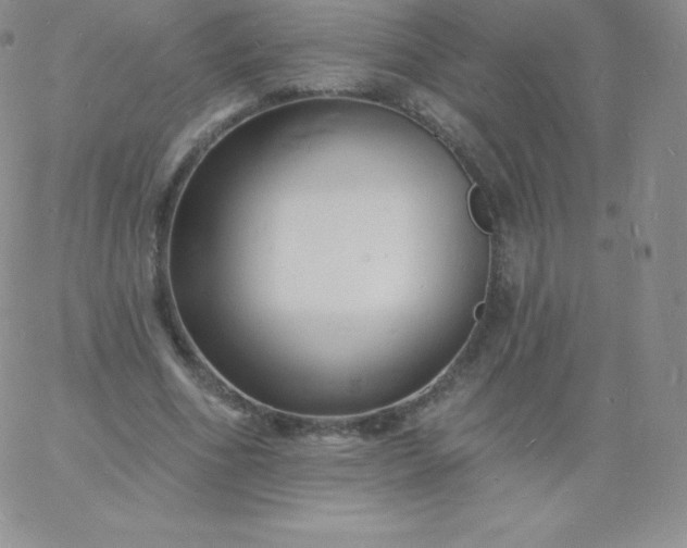 X0000060740586200511241640