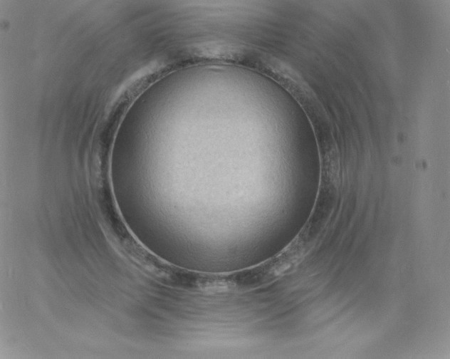 X0000060740587200511241640