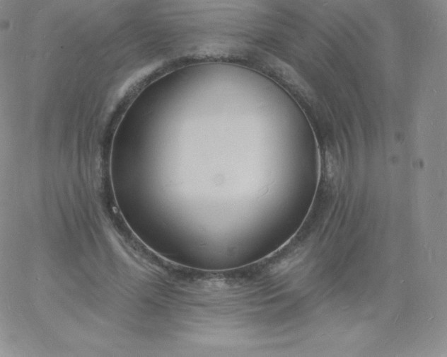 X0000060740588200511241640