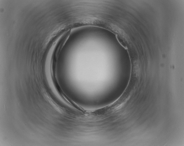 X0000060740589200511241640