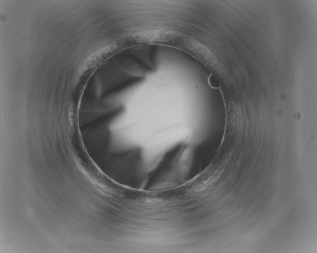 X0000060740590200511241640