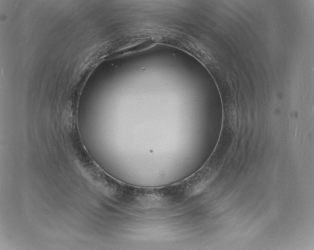 X0000060740594200511241640