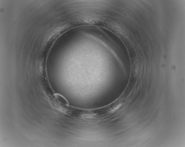 X0000060740595200511241640